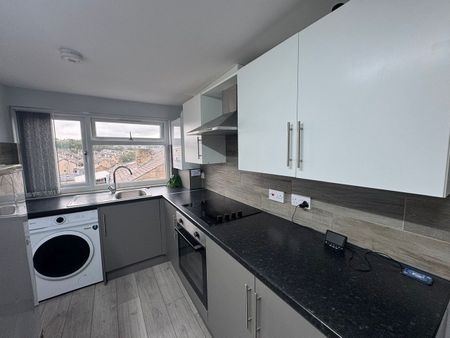 Laisteridge Lane, Bradford - Photo 5
