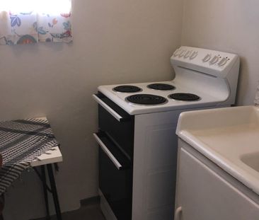 Move-In Ready Furnished Granny Flat Near UNSW - Photo 4