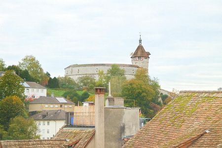 4.5 Zimmerwohnung in Schaffhausen - Photo 4