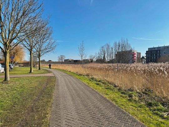 Recent 2 slaapkamer appartement met zonnig terras gelegen langsheen de Schelde - Photo 1