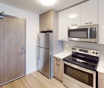 1 Bedroom Apartment - Walnut Place - Hamilton - Photo 1