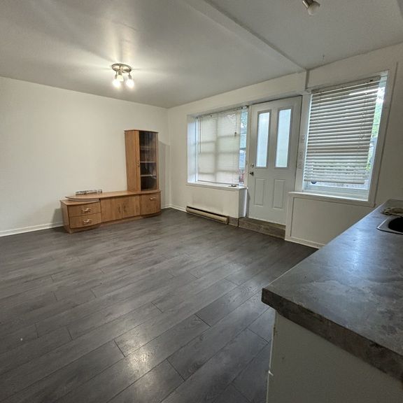 1380 Rue Frontenac ,app1-A - Photo 1