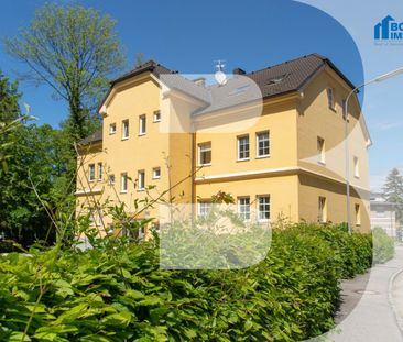 Fred Feuerstein - Foto 5