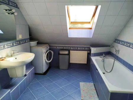 Miński (pow.), Sulejówek - Фото 4