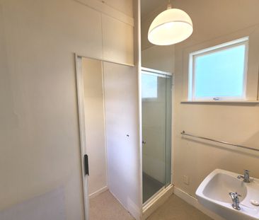 Aro Valley Living - Photo 4