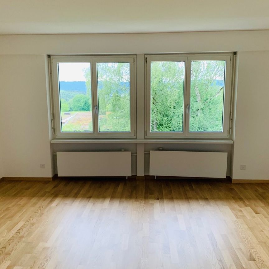 Rent a 4 ½ rooms apartment in Zumikon - Photo 1