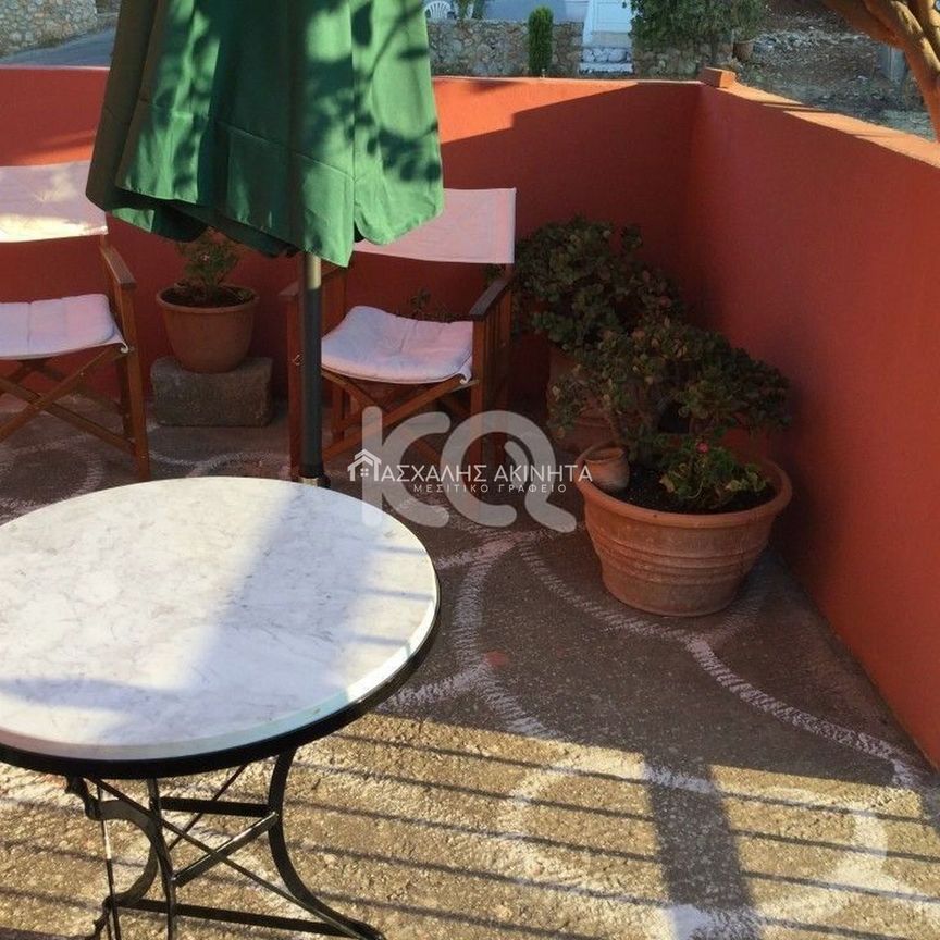 ΡΟΔΙΑ ΜΟΝΟΚΑΤΟΙΚΙΑ – ΜΕΖΟΝΕΤΑ ΕΝΟΙΚΙΑΣΕΙΣ 13507 - Φωτογραφία 1