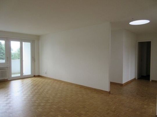 We are looking for you! 2 months FREE! - Foto 1