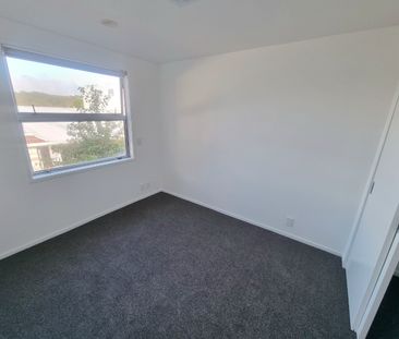 Albany - modern apartment fantastic location - Photo 1