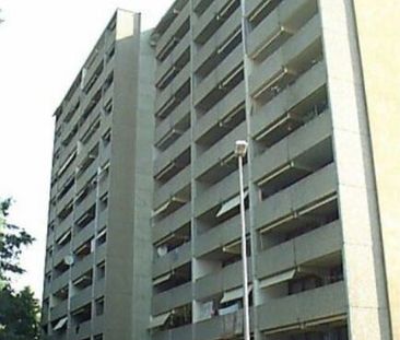 Accommodation in the countryside - Photo 1