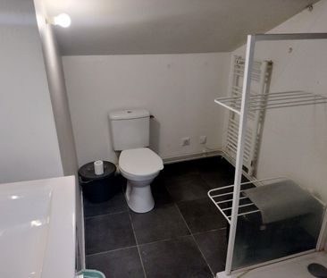 Location Appartement 2 pièces 30m² VILLEURBANNE 69100 - Photo 3