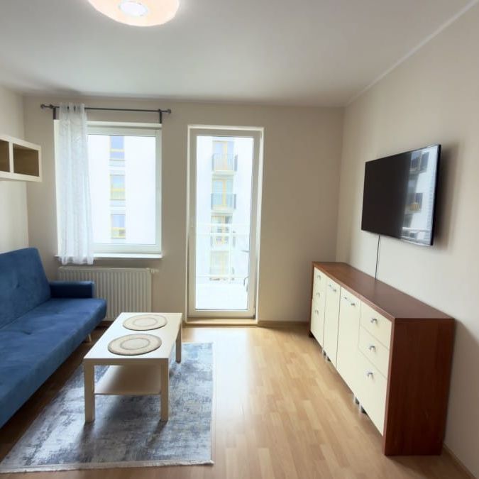 Mieszkanie do wynajęcia 2 pokoje św. Wawrzyńca, Poznań 40 m² - Zdjęcie 1