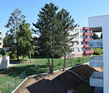 Pronájem bytu 1+kk 41 m² - Fotografie 4