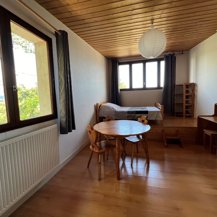 Location Appartement 1 pièce 27m² CHAMBERY 73000 - Photo 1