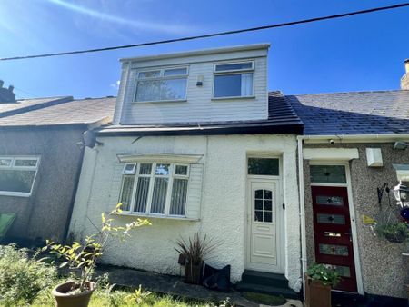 Salisbury Street, South Hylton - Photo 2