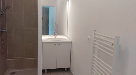 Location Appartement 2 pièces 42m² ST JEAN DE BRAYE 45800 - Photo 4