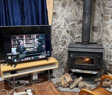 For Lease - 393 Adeline Drive, Georgina, Ontario - Photo 3