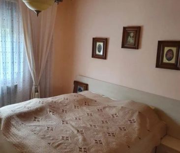 CASA DE INCHIRIAT ARADUL NOU - Fotografie 4