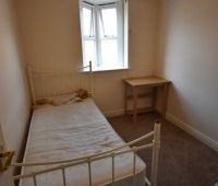 3 bed Semi-Detached - To Let - Photo 5