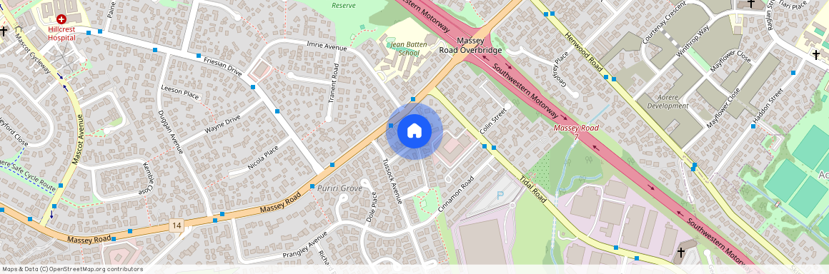 12 Rock Daisy Crescent, Mangere, Auckland