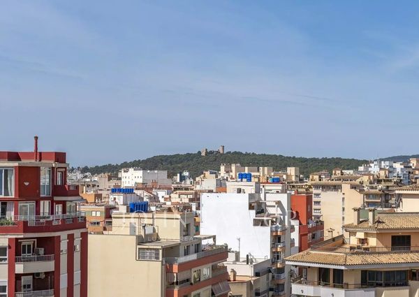 Palma de Mallorca, Balearic Islands 07001