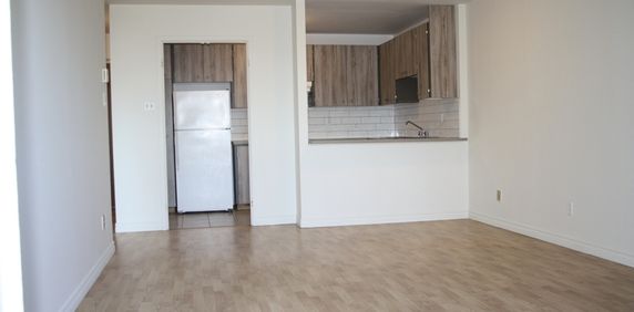 Appartement 1 chambre à louer Ville St-Laurent - Bois-Franc à Plaza Oasis - Photo 2