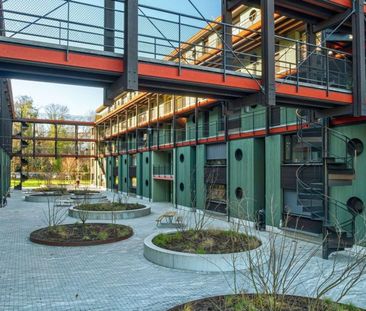 Modern living in Birsfelden - Photo 6