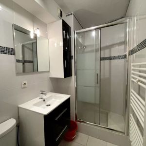 Cité des Congrès - Studio lumineux et bien agencé comprenant une pièce principale avec kitchenette ainsi qu'une salle d'eau avec WC. Loué meublé. - Photo 3