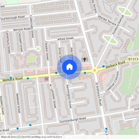 Welbeck Road, Byker, NE6