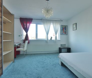 Dwergvinvisstraat, 1035 HR, Amsterdam - Foto 6