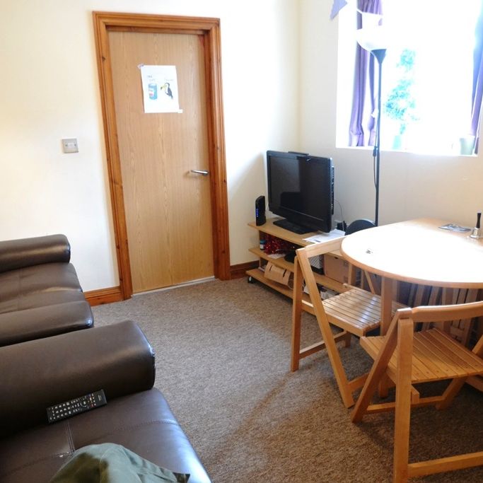 Harriet Street, Cathays - Photo 1