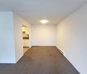 30 Rue De Matapédia (Gatineau) Très Bel Appartement D'une Chambre. - Photo 3