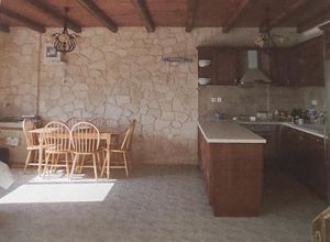 Μονοκατοικία για ενοικίαση - Αίγινα - Photo 1