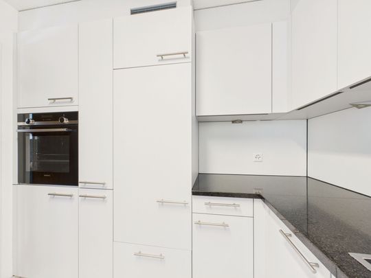 Bright and spacious 5.5-room apartment on the outskirts of Olten - Photo 1