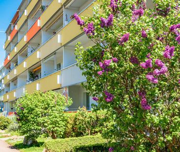 Top Lage, top Ausstattung - das ist Wohnen à la ZWG! - Photo 4