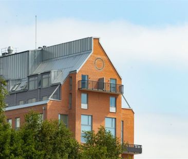 EXERCISGATAN 7 - Foto 2