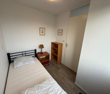 Zeelandiahoeve 273 - Photo 1