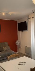 Location Appartement 1 pièce 28m² 34203 SETE CEDEX 34200 - Photo 4