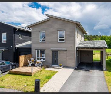 Begoniaslingan, Bro - Foto 1