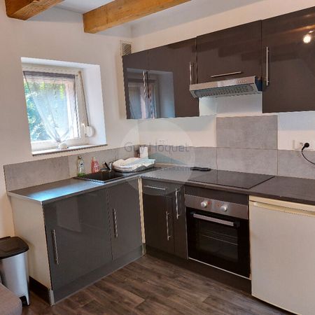 STEINBACH : maison meublée 2 pièces à louer - Photo 3