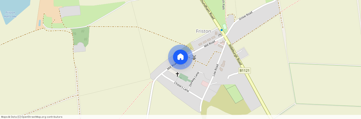 Friston
