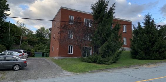 4 1/2 Nord De Sherbrooke - Photo 3