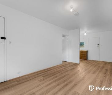 1- Bedroom 1- Bathroom Apartment in Stirling! - Photo 4