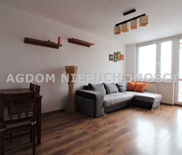 Kazimierza Wielkiego, Włocławek - Zdjęcie 6