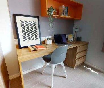 Gold Studio Plus - Photo 5