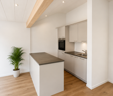 Erstvermietung nach Kernsanierung – 3.5-Zimmer-Wohnung in der Stadt Solothurn - Photo 3