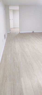 For Lease - 22 Buena Vista Avenue Unit# Lower unit, Toronto, Ontario - Photo 1