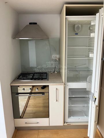 Nice Sized Two-Bedroom Flat with Parking - Cismigiu - Fotografie 3