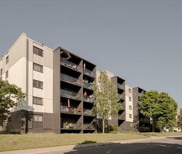 Loft à louer Sainte-Foy / Sillery juillet 2026 - Photo 3