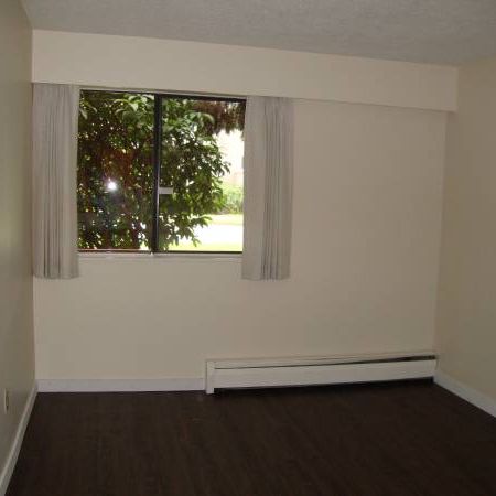 1 BDR-Welcome to Pine Manor clean & professionally managed - Photo 1